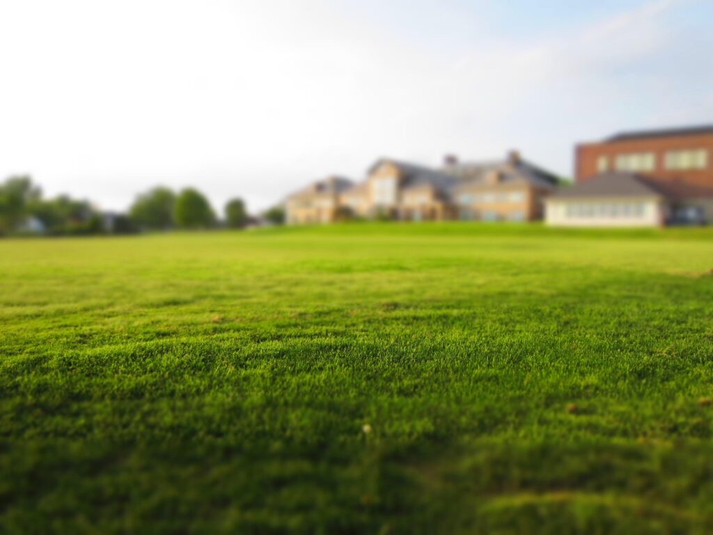 lawn, grass, mowing, green, nature, garden, yard, neighbors, real estate, suburban, lawn, lawn, lawn, yard, yard, real estate, real estate, real estate, real estate, real estate